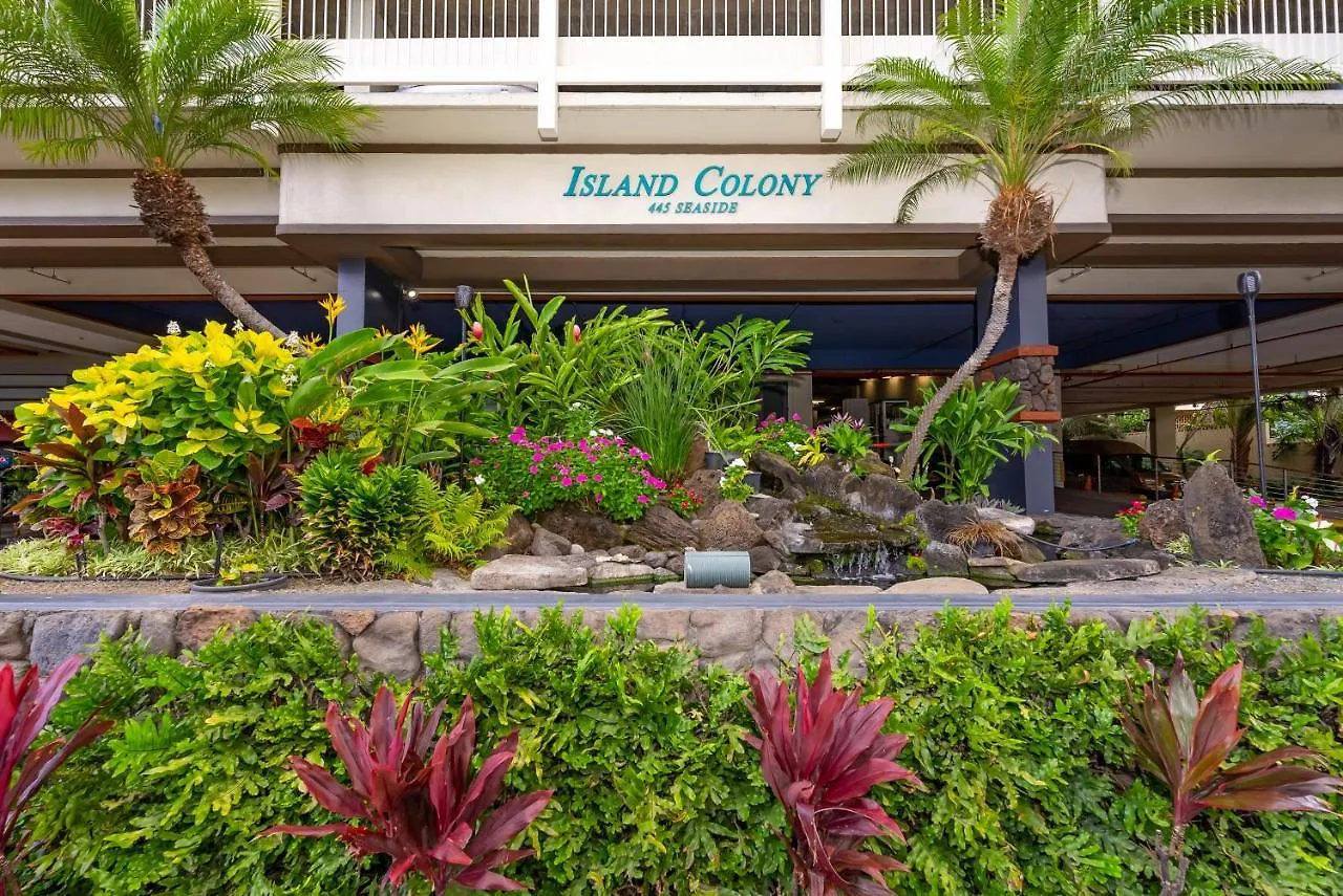 Island Colony 2020 Thirty Plus Night Rental Honolulu United States